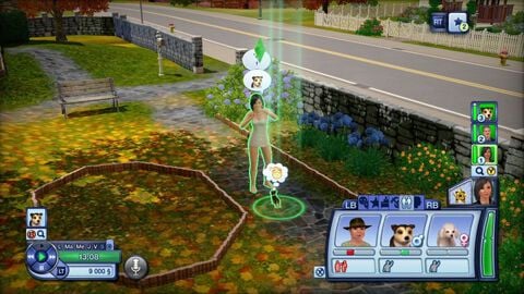 Sims 3 Animaux Et Compagnie