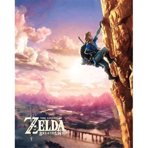 Cadre 3d - Zelda Breath Of Wild - Escalade