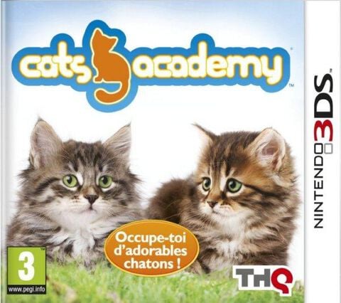 Cats Academy 2