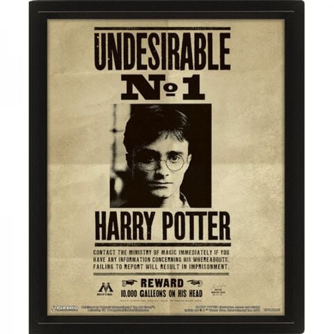 Cadre 3d - Harry Potter - Sirius