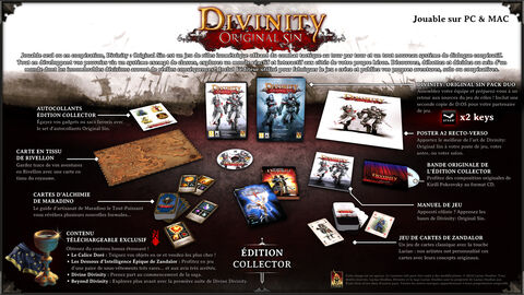 Divinity Original Sin Edition Collector