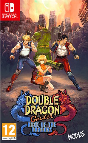 Double Dragon Gaiden Rise Of The Dragons