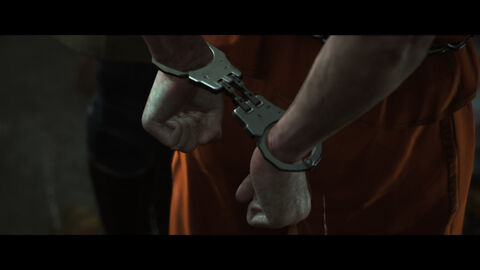 Hidden Agenda Playlink