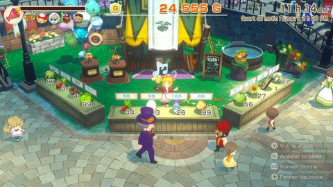 Story Of Seasons Grand Bazaar - Occasion