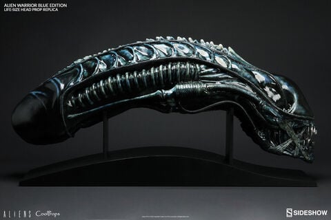 Replique Sideshow - Aliens - 1/1 Tête Alien Warrior Blue Edition 45 Cm