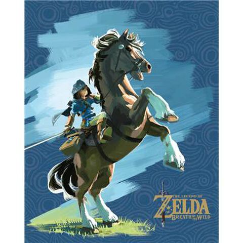 Cadre 3d - Zelda Breath Of Wild - Link Et Epona