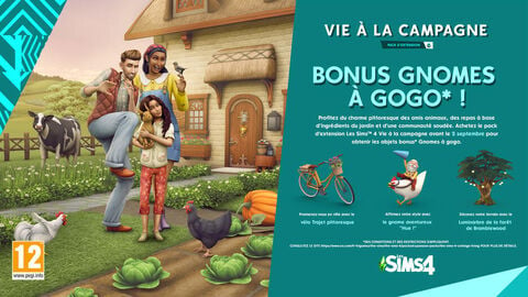 Les Sims 4 Vie à La Campagne