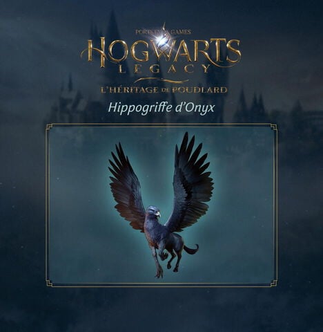 Hogwarts Legacy : L'heritage De Poudlard - Edition Collector