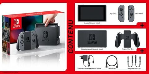 Nintendo Switch Avec Une Paire De Joy-con Gris