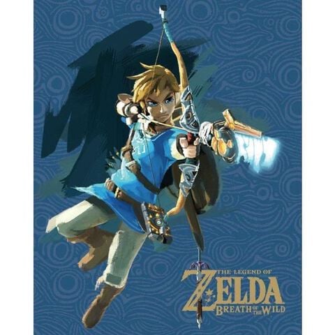 Cadre 3d - Zelda Breath Of Wild - Link