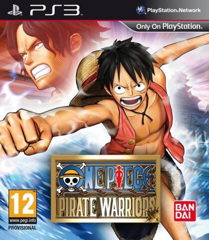 One Piece Pirate Warrior