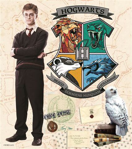 Coffret - Harry Potter - Mon Coffret Cartes à Gratter Et à Colorier