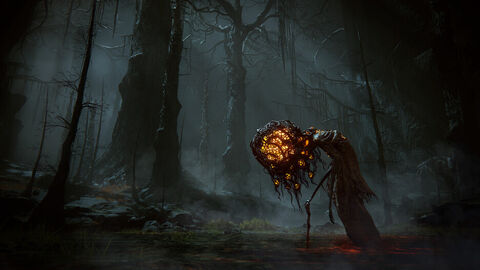 Elden Ring Shadow Of The Erdtree Collector Edition
