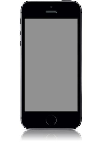 Iphone 5s 64gb Orange Gris Sideral / Bon Etat