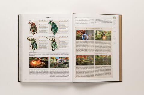 Guide Collector The Legend of Zelda Tears of the Kingdom à 34,99€