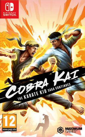 Cobra Kai The Karate Kid Continues