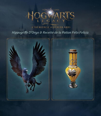 Hogwarts Legacy: L'Héritage de Poudlard : les quatre versions