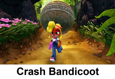 Crash Bandicoot N.sane Trilogy - Occasion
