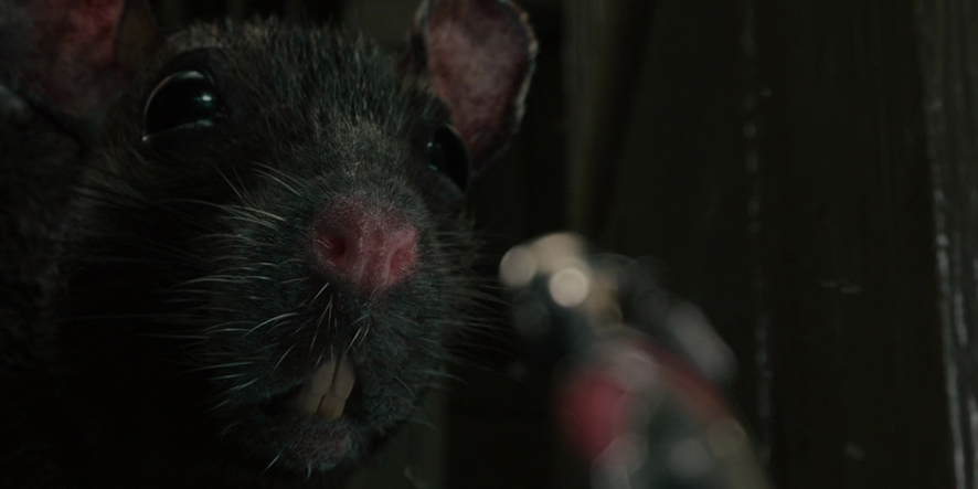 antman-rat