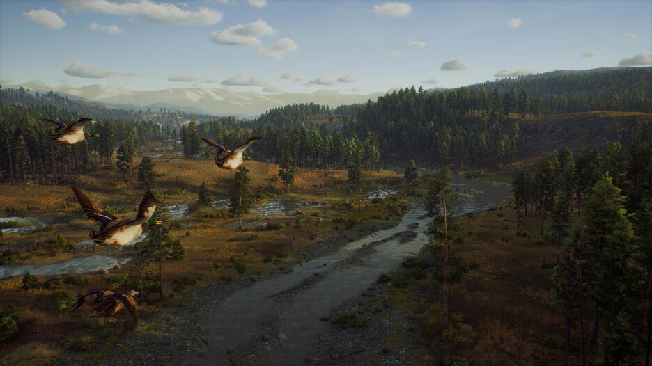Way Of The Hunter