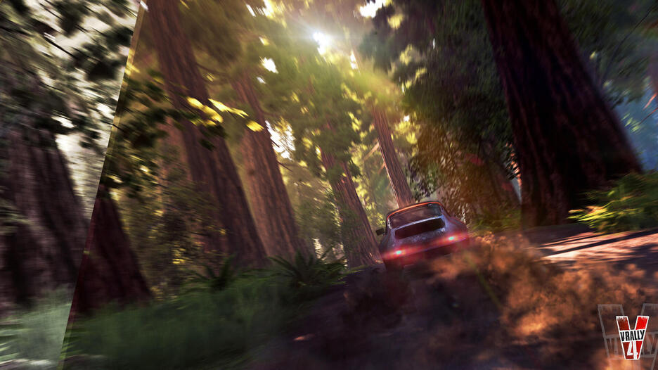 V Rally 4 - Occasion